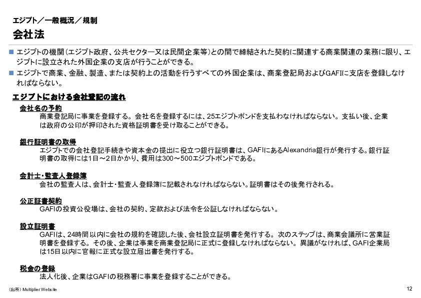 R6年度「医療国際展開カントリーレポート　新興国等のヘルスケア市場環境に関する基本情報　エジプト編」