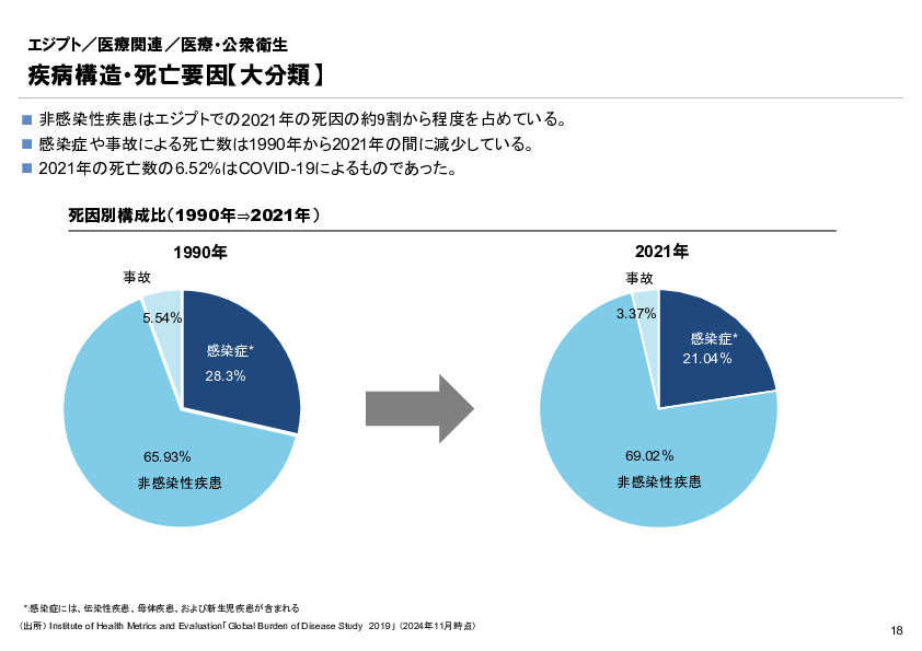 R6年度「医療国際展開カントリーレポート　新興国等のヘルスケア市場環境に関する基本情報　エジプト編」