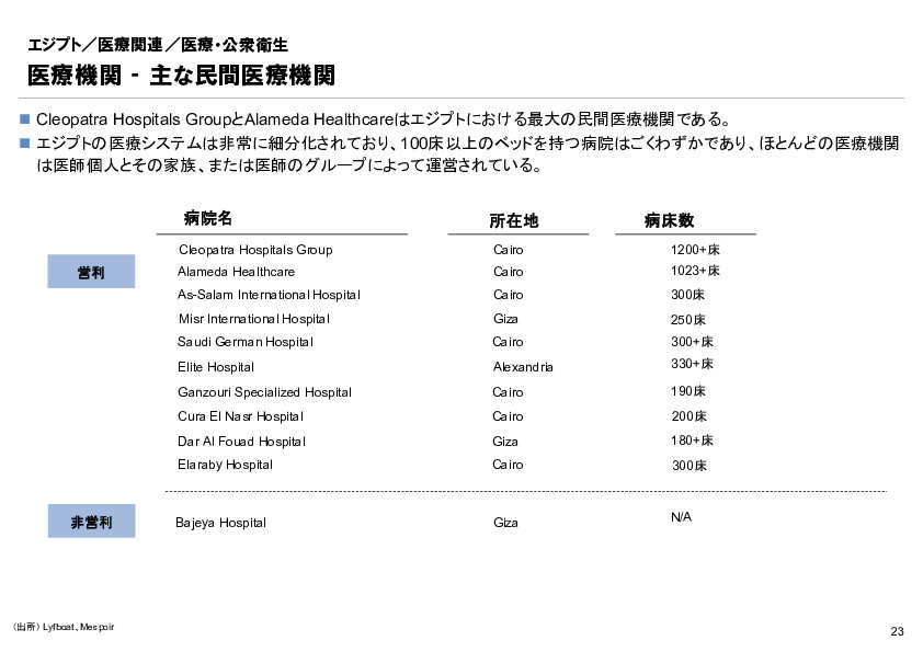 R6年度「医療国際展開カントリーレポート　新興国等のヘルスケア市場環境に関する基本情報　エジプト編」