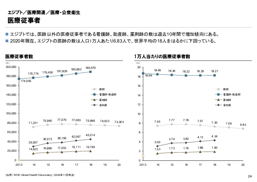 R6年度「医療国際展開カントリーレポート　新興国等のヘルスケア市場環境に関する基本情報　エジプト編」