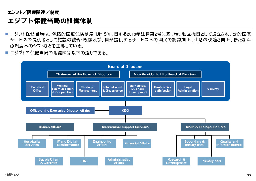 R6年度「医療国際展開カントリーレポート　新興国等のヘルスケア市場環境に関する基本情報　エジプト編」