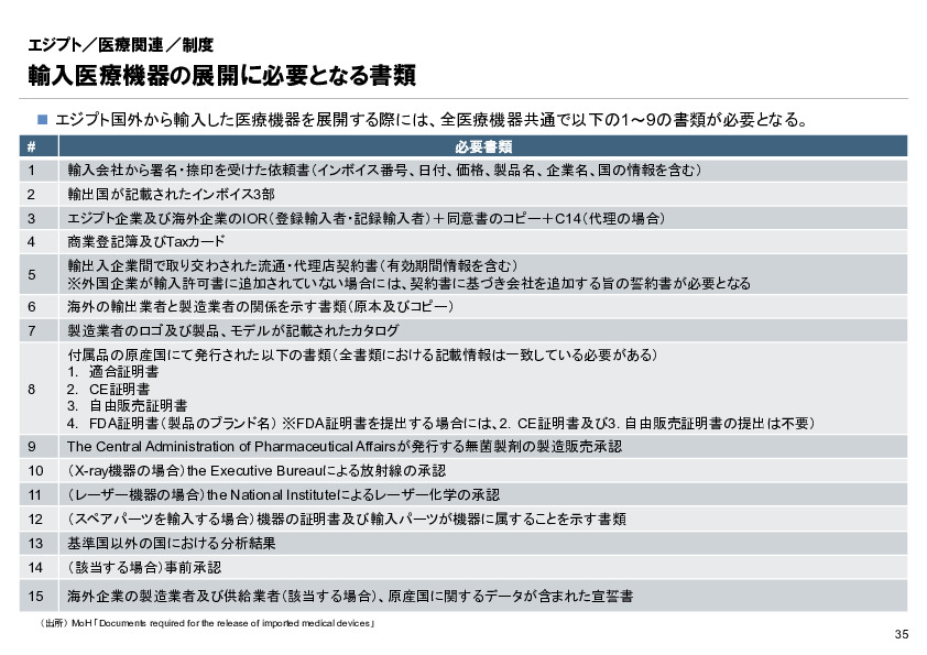 R6年度「医療国際展開カントリーレポート　新興国等のヘルスケア市場環境に関する基本情報　エジプト編」