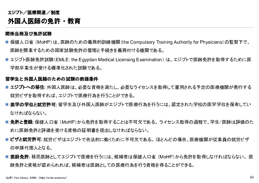 R6年度「医療国際展開カントリーレポート　新興国等のヘルスケア市場環境に関する基本情報　エジプト編」