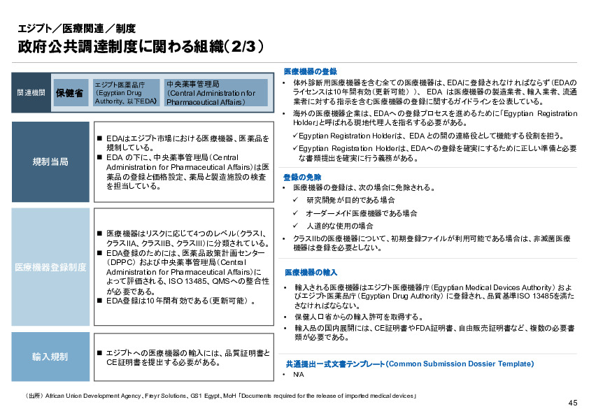 R6年度「医療国際展開カントリーレポート　新興国等のヘルスケア市場環境に関する基本情報　エジプト編」