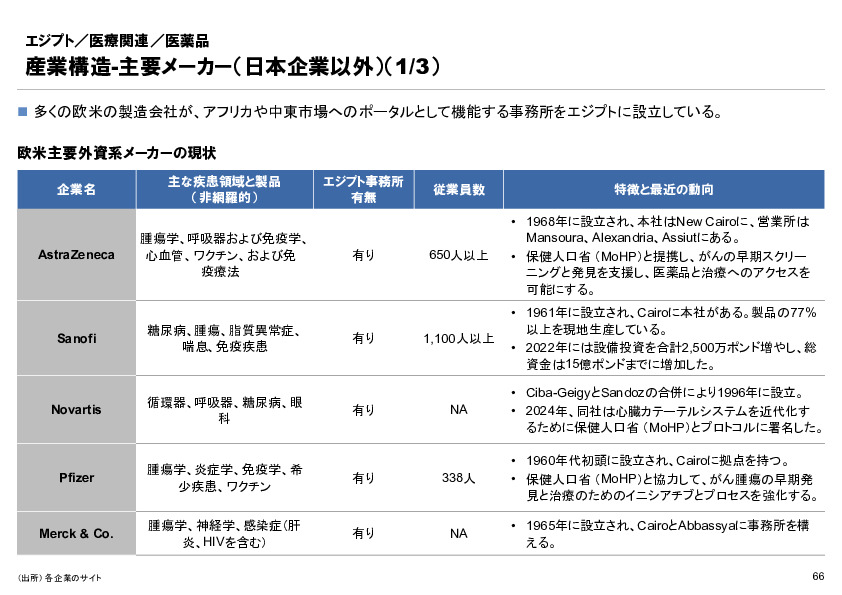 R6年度「医療国際展開カントリーレポート　新興国等のヘルスケア市場環境に関する基本情報　エジプト編」