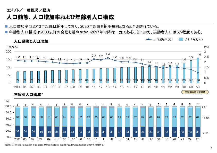 R6年度「医療国際展開カントリーレポート　新興国等のヘルスケア市場環境に関する基本情報　エジプト編」