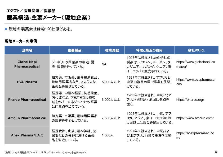 R6年度「医療国際展開カントリーレポート　新興国等のヘルスケア市場環境に関する基本情報　エジプト編」