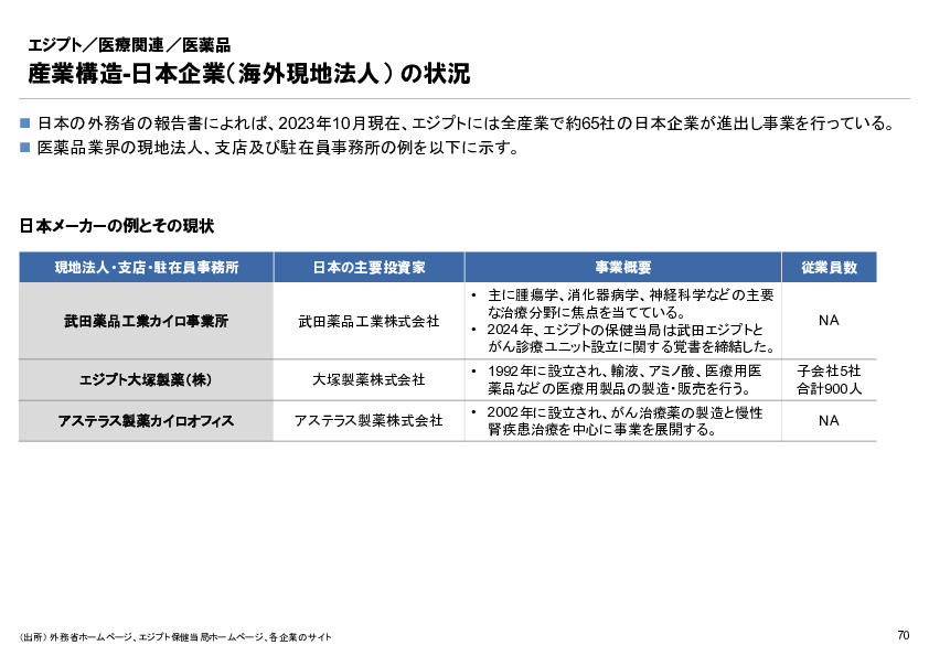 R6年度「医療国際展開カントリーレポート　新興国等のヘルスケア市場環境に関する基本情報　エジプト編」