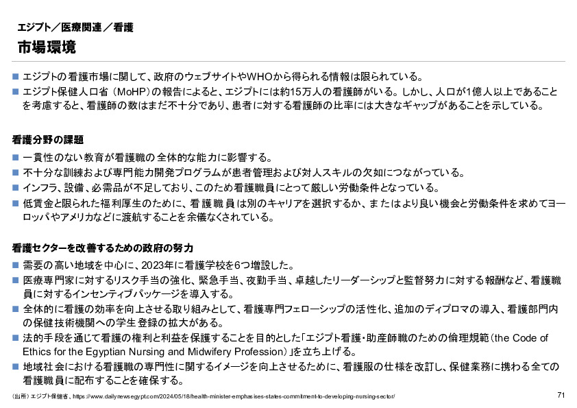 R6年度「医療国際展開カントリーレポート　新興国等のヘルスケア市場環境に関する基本情報　エジプト編」