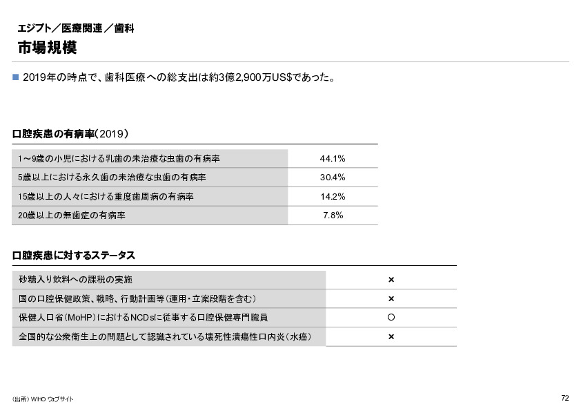 R6年度「医療国際展開カントリーレポート　新興国等のヘルスケア市場環境に関する基本情報　エジプト編」