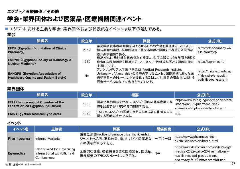 R6年度「医療国際展開カントリーレポート　新興国等のヘルスケア市場環境に関する基本情報　エジプト編」