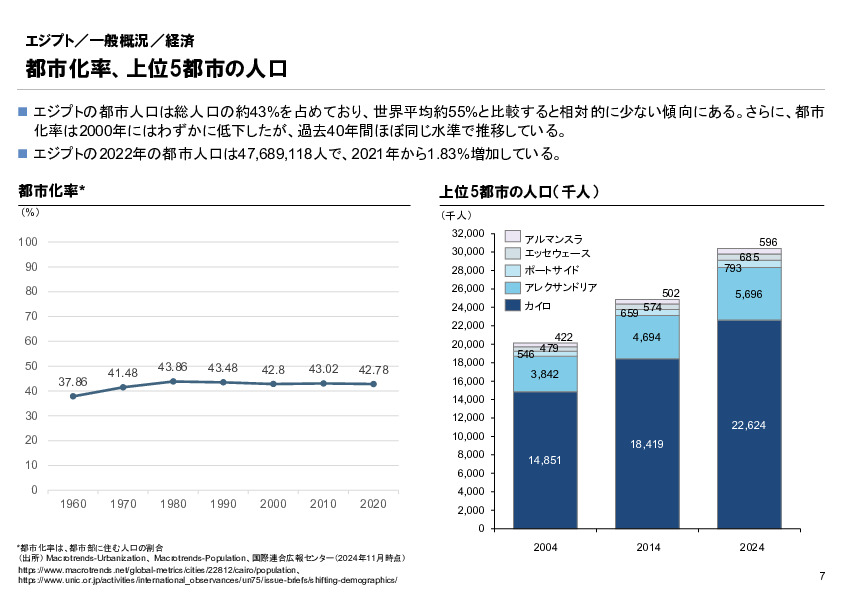 R6年度「医療国際展開カントリーレポート　新興国等のヘルスケア市場環境に関する基本情報　エジプト編」