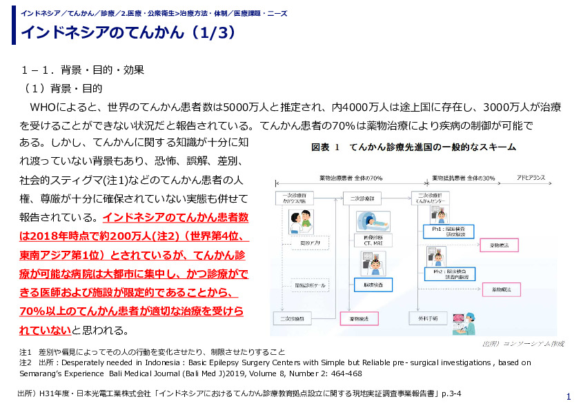 インドネシアのてんかん