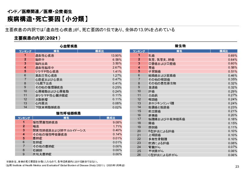 R6年度「医療国際展開カントリーレポート　新興国等のヘルスケア市場環境に関する基本情報　インド編」