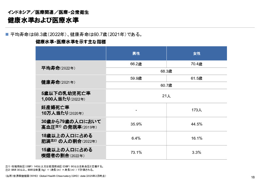 R6年度「医療国際展開カントリーレポート　新興国等のヘルスケア市場環境に関する基本情報　インドネシア編」