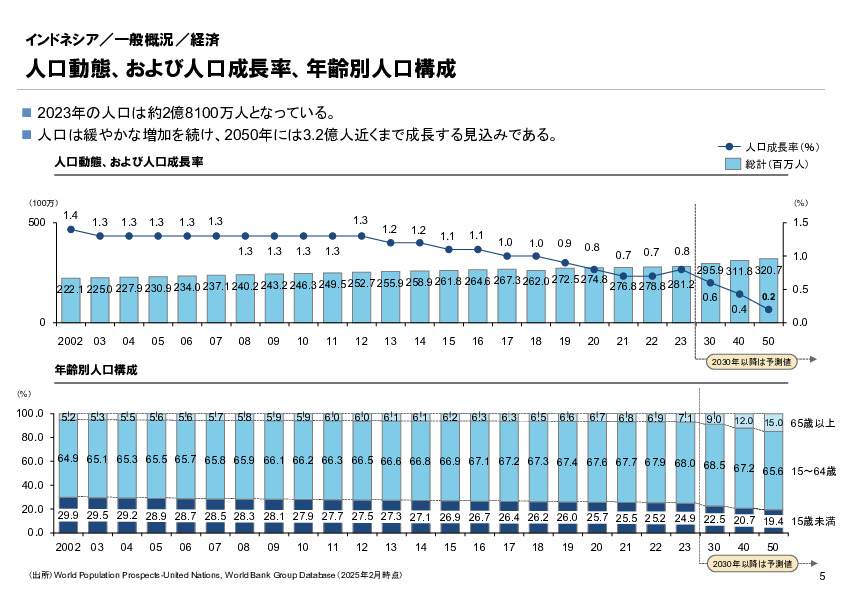 R6年度「医療国際展開カントリーレポート　新興国等のヘルスケア市場環境に関する基本情報　インドネシア編」