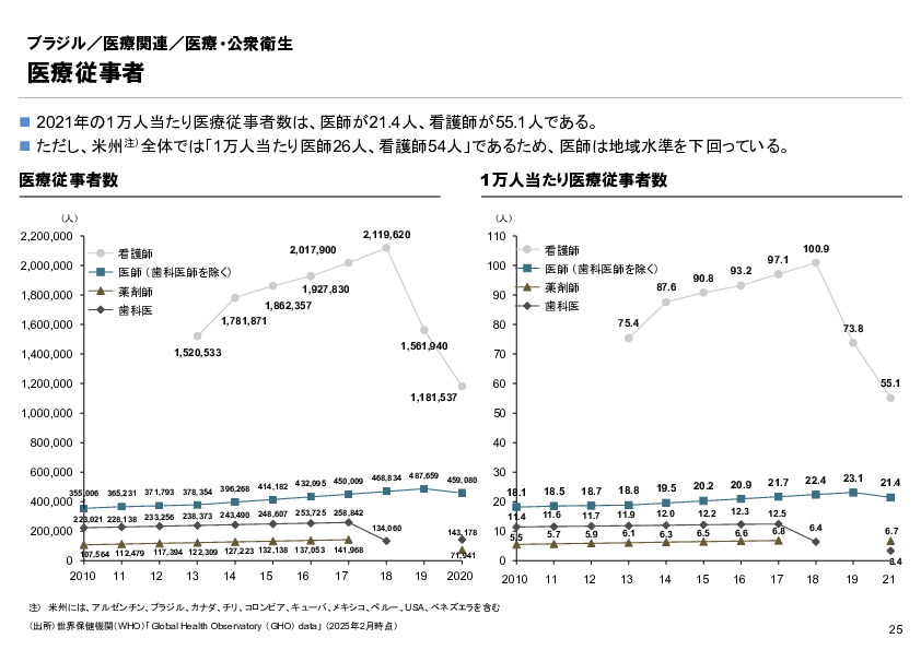 R6年度「医療国際展開カントリーレポート　新興国等のヘルスケア市場環境に関する基本情報　ブラジル編」