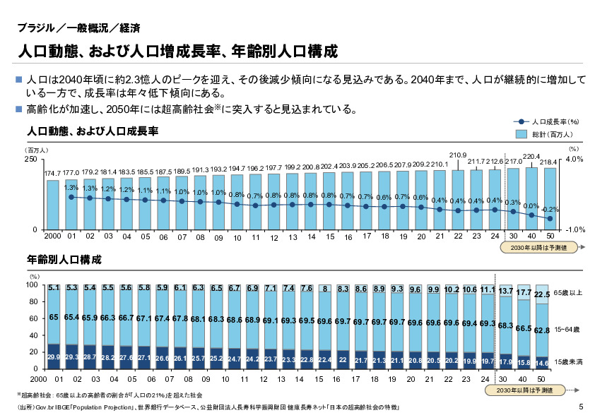 R6年度「医療国際展開カントリーレポート　新興国等のヘルスケア市場環境に関する基本情報　ブラジル編」