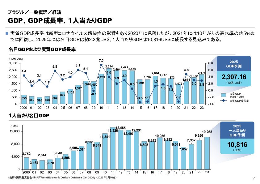 R6年度「医療国際展開カントリーレポート　新興国等のヘルスケア市場環境に関する基本情報　ブラジル編」