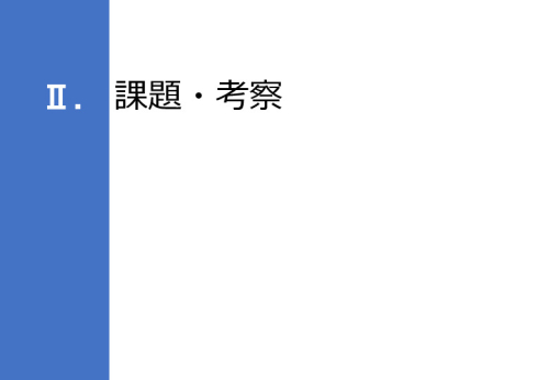令和６年度「インドにおけるデジリハ実証調査プロジェクト」事業報告書