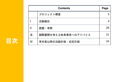 令和６年度「インドにおけるデジリハ実証調査プロジェクト」事業報告書