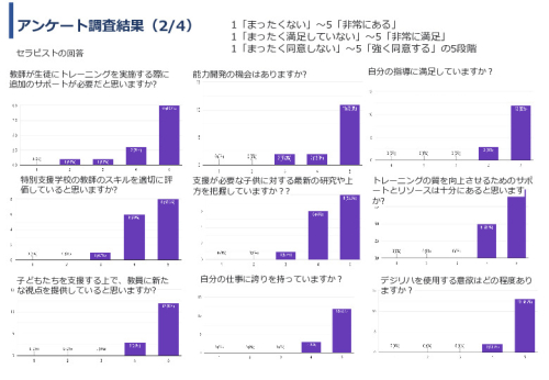 令和６年度「インドにおけるデジリハ実証調査プロジェクト」事業報告書