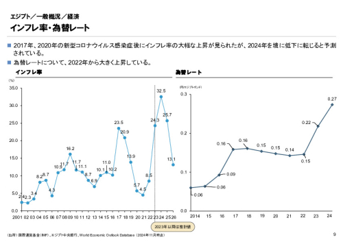 R6年度「医療国際展開カントリーレポート　新興国等のヘルスケア市場環境に関する基本情報　エジプト編」