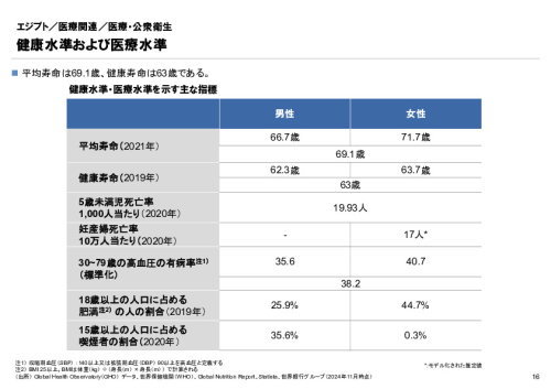 R6年度「医療国際展開カントリーレポート　新興国等のヘルスケア市場環境に関する基本情報　エジプト編」