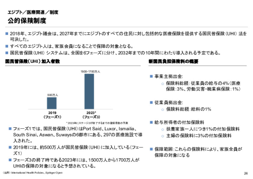R6年度「医療国際展開カントリーレポート　新興国等のヘルスケア市場環境に関する基本情報　エジプト編」