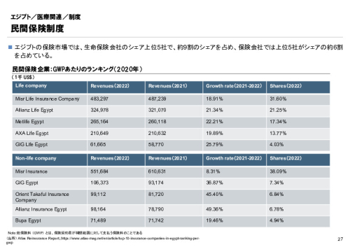 R6年度「医療国際展開カントリーレポート　新興国等のヘルスケア市場環境に関する基本情報　エジプト編」