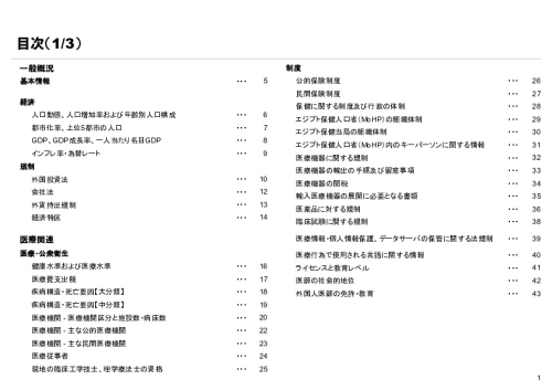 R6年度「医療国際展開カントリーレポート　新興国等のヘルスケア市場環境に関する基本情報　エジプト編」