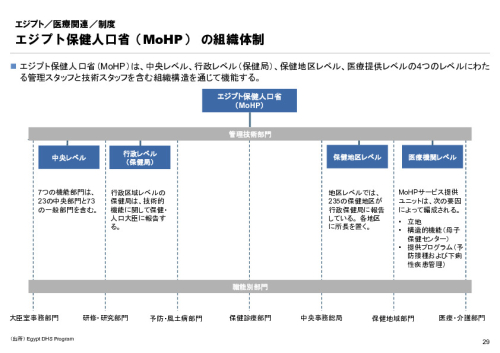R6年度「医療国際展開カントリーレポート　新興国等のヘルスケア市場環境に関する基本情報　エジプト編」