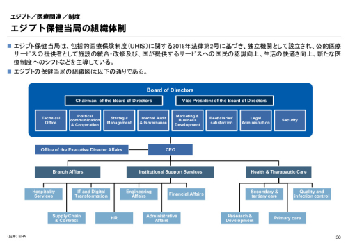 R6年度「医療国際展開カントリーレポート　新興国等のヘルスケア市場環境に関する基本情報　エジプト編」