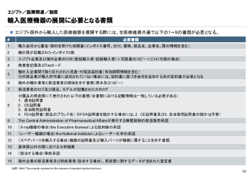 R6年度「医療国際展開カントリーレポート　新興国等のヘルスケア市場環境に関する基本情報　エジプト編」