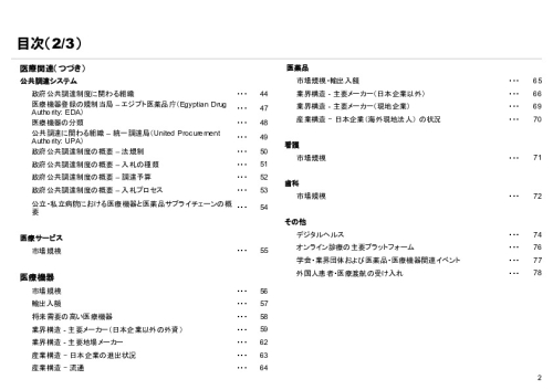 R6年度「医療国際展開カントリーレポート　新興国等のヘルスケア市場環境に関する基本情報　エジプト編」