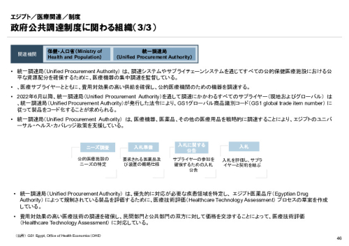R6年度「医療国際展開カントリーレポート　新興国等のヘルスケア市場環境に関する基本情報　エジプト編」