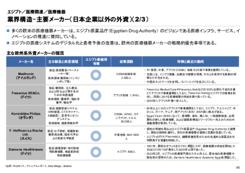 R6年度「医療国際展開カントリーレポート　新興国等のヘルスケア市場環境に関する基本情報　エジプト編」