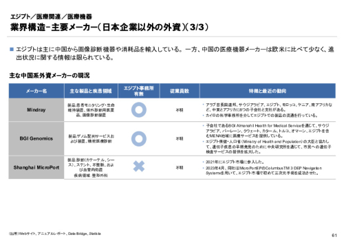 R6年度「医療国際展開カントリーレポート　新興国等のヘルスケア市場環境に関する基本情報　エジプト編」