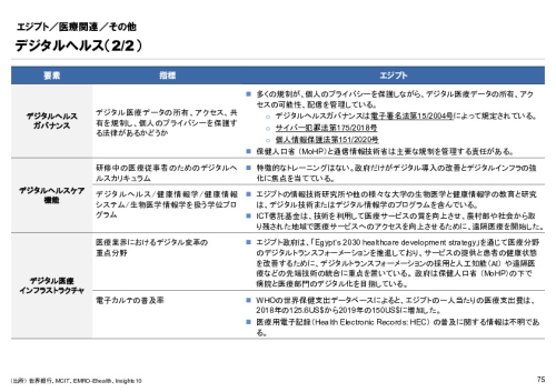 R6年度「医療国際展開カントリーレポート　新興国等のヘルスケア市場環境に関する基本情報　エジプト編」