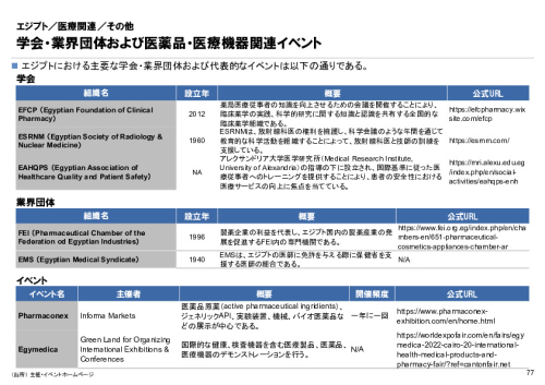 R6年度「医療国際展開カントリーレポート　新興国等のヘルスケア市場環境に関する基本情報　エジプト編」