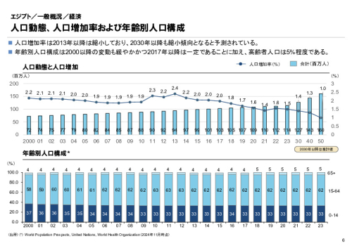 R6年度「医療国際展開カントリーレポート　新興国等のヘルスケア市場環境に関する基本情報　エジプト編」