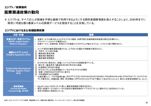 R6年度「医療国際展開カントリーレポート　新興国等のヘルスケア市場環境に関する基本情報　エジプト編」