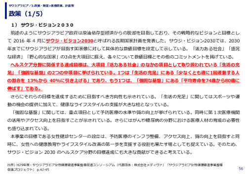 政策