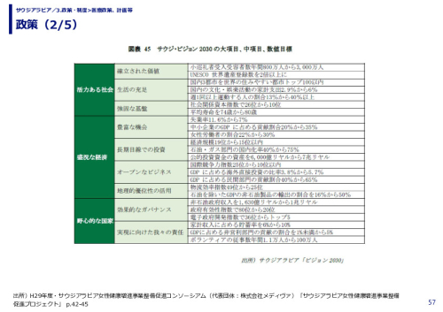 政策
