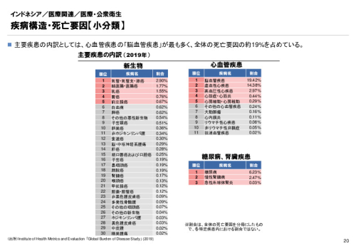 R3年度「医療国際展開カントリーレポート　新興国等のヘルスケア市場環境に関する基本情報　インドネシア編」