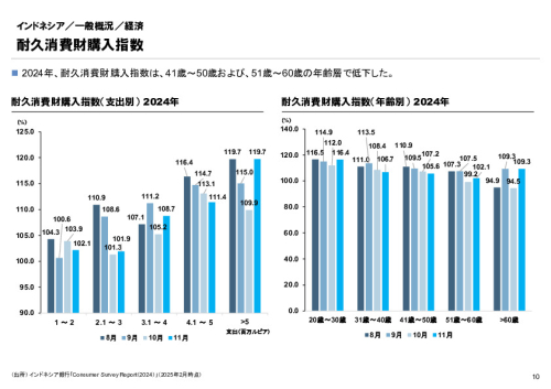 R6年度「医療国際展開カントリーレポート　新興国等のヘルスケア市場環境に関する基本情報　インドネシア編」
