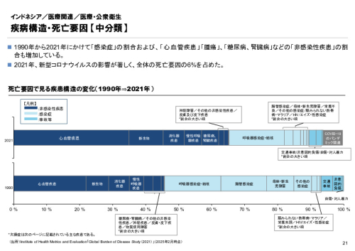 R6年度「医療国際展開カントリーレポート　新興国等のヘルスケア市場環境に関する基本情報　インドネシア編」