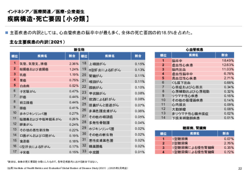R6年度「医療国際展開カントリーレポート　新興国等のヘルスケア市場環境に関する基本情報　インドネシア編」