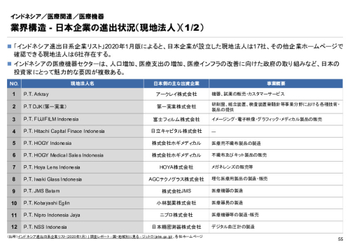 R6年度「医療国際展開カントリーレポート　新興国等のヘルスケア市場環境に関する基本情報　インドネシア編」