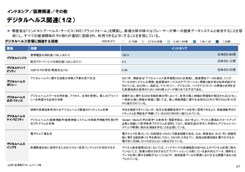 R6年度「医療国際展開カントリーレポート　新興国等のヘルスケア市場環境に関する基本情報　インドネシア編」